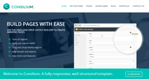 10 + Creative Drupal Themes for Website CMS