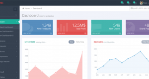 The 10 + Best Selling Admin Templates