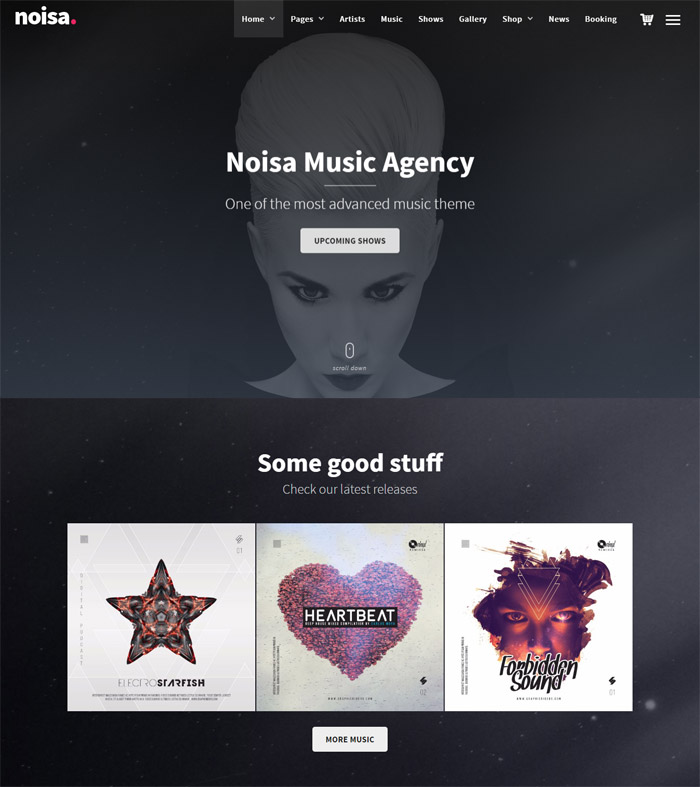 Noisa - WordPress Music & Events Theme