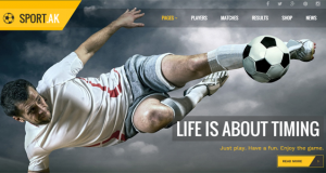 10 + Outstanding Premium WordPress Sports Themes