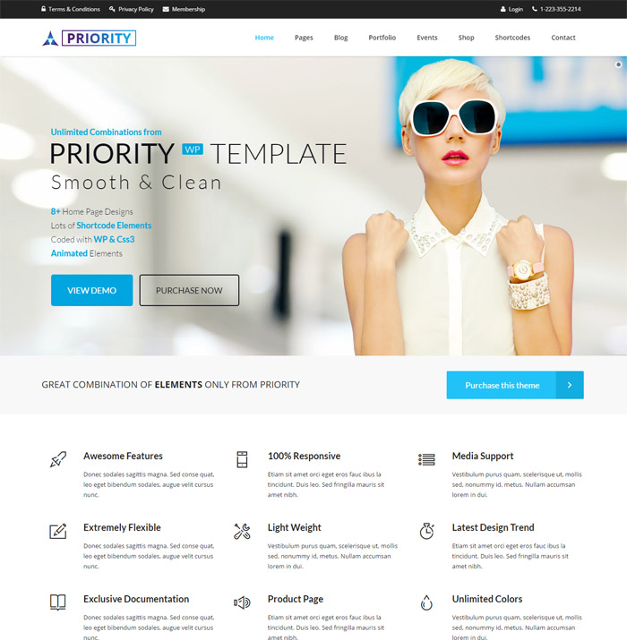 10 + Terrific Premium Corporate Wordpress Themes