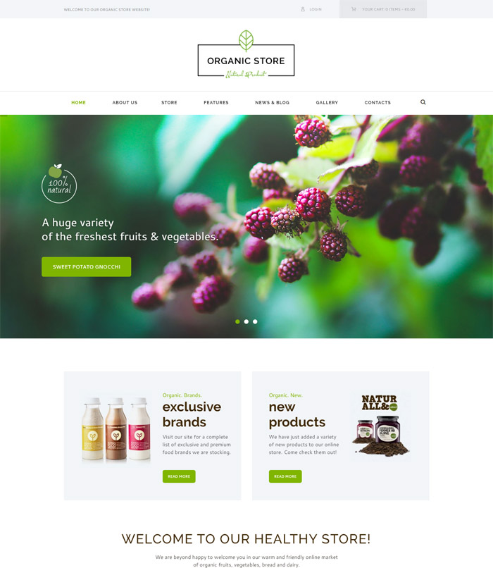 Organic Store - Organic Food & Eco Products Theme