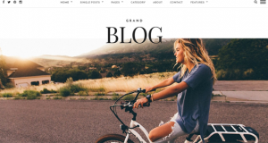 10 + Best WordPress Blog Themes for your Websites