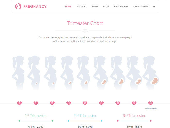 Pregnancy Trimester Chart