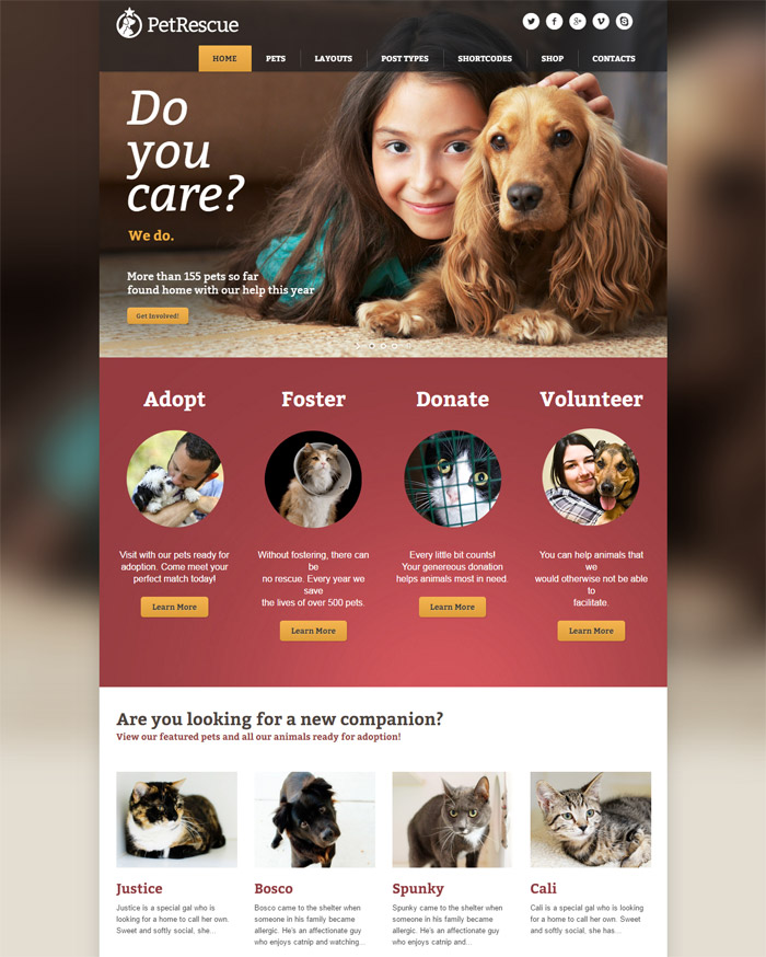 Pet Rescue - Animals & Shelter Charity WP Theme