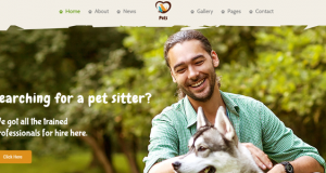 Pet World-the WordPress pet theme
