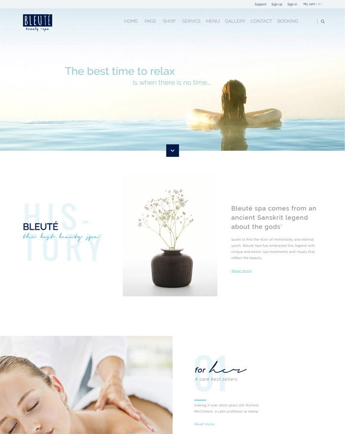 Bleute - WordPress theme