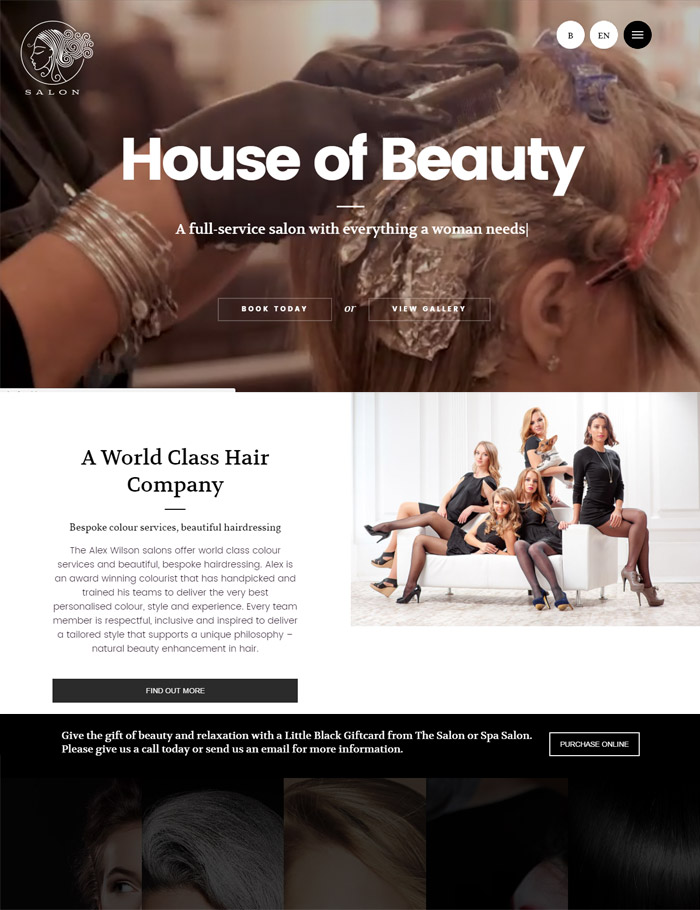 SALON - WordPress Theme for Hair & Beauty Salons 