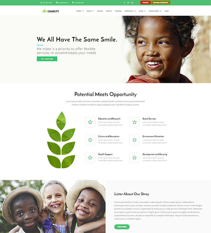 Nonprofit - NGO, Nonprofit Charity organization WordPress Theme