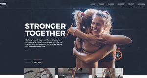 Gym & fitness themes integrated with phenomenal Plugins