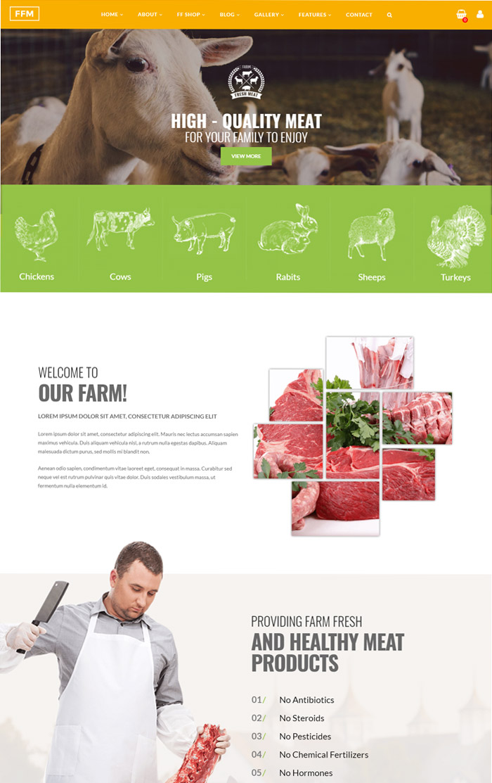 FoodFarm – WordPress retail theme for Farm, Farm Services and Organic Food Store
