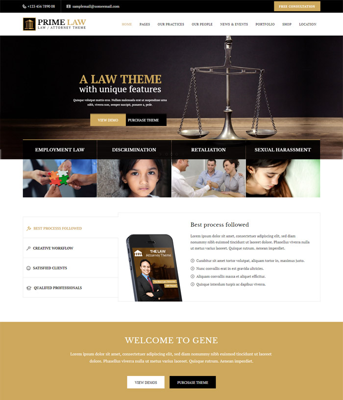 10+ Perfectly designed Lawyer WordPress Themes