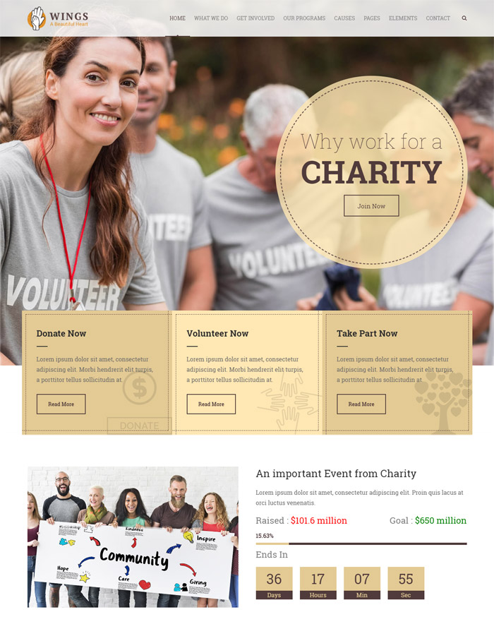 Wings Charity | WordPress Charity religion theme