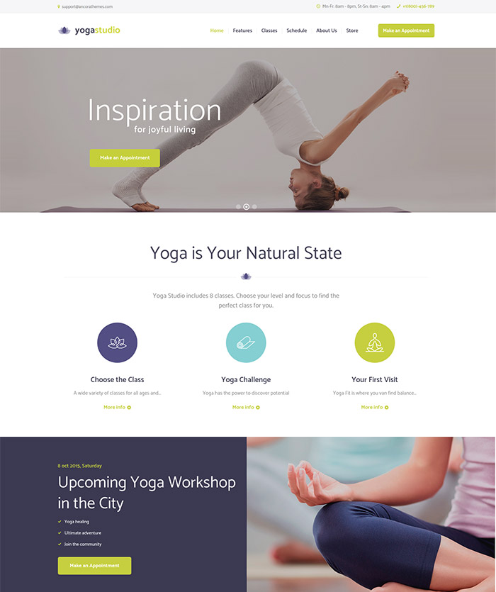 Yogastudio, Gym and Healthcare WP Theme