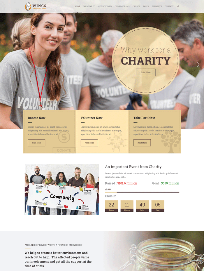 Wings Charity | WordPress Charity Theme
