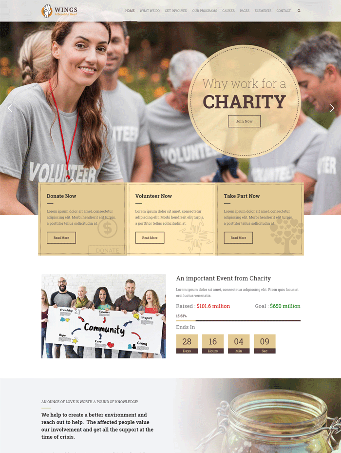 Wings Charity | WordPress Charity Theme