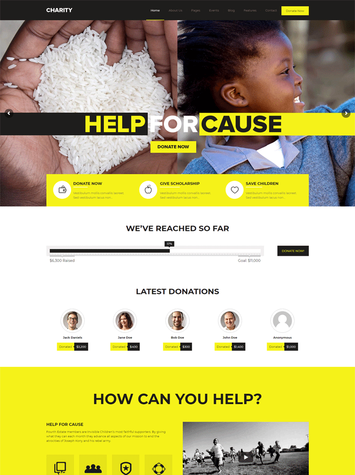 Charity - Foundation/Fundraising WordPress Theme