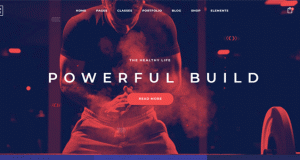10 + Excellent and Best Lifestyle WordPress Themes
