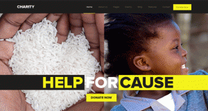 10 + Enticing and Best Charity WordPress Themes