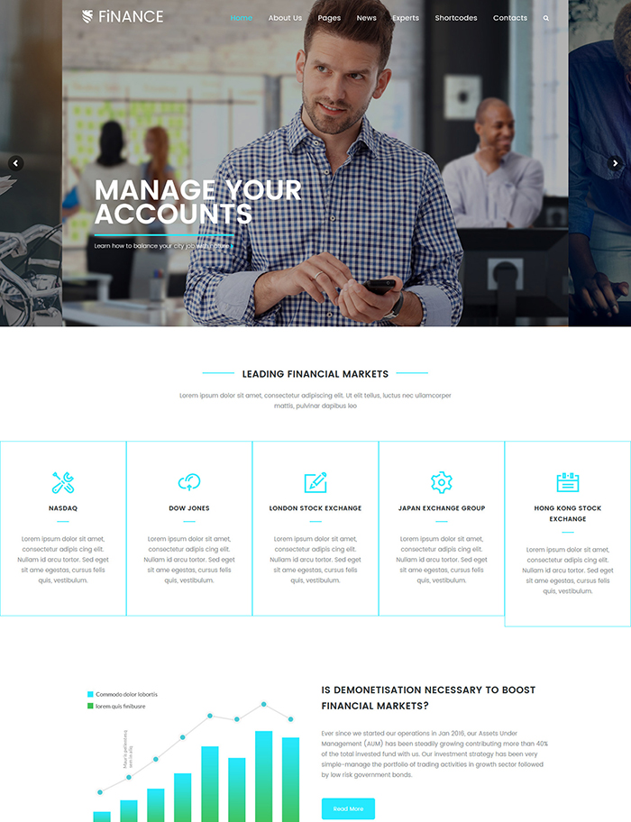 Finance | Consultant, Finance Business Theme 