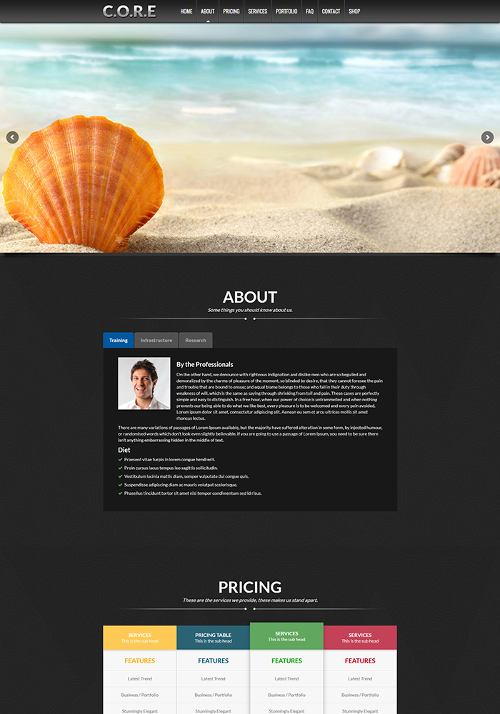 Core One - Multipurpose One Page Theme