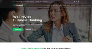 10 + Excellent and Best WordPress Business Themes