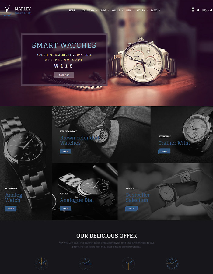  Electronic store Shopify themes