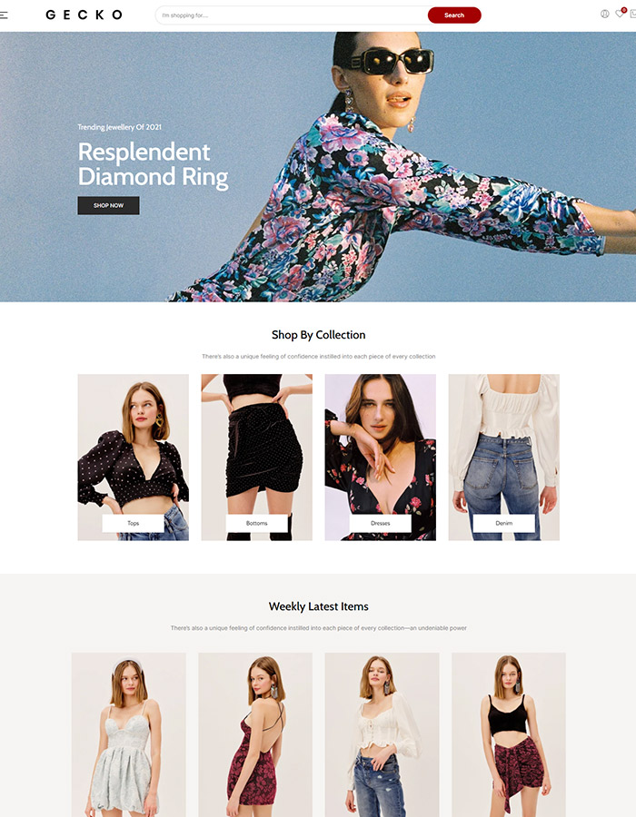 ecommerce Best Shopify themes