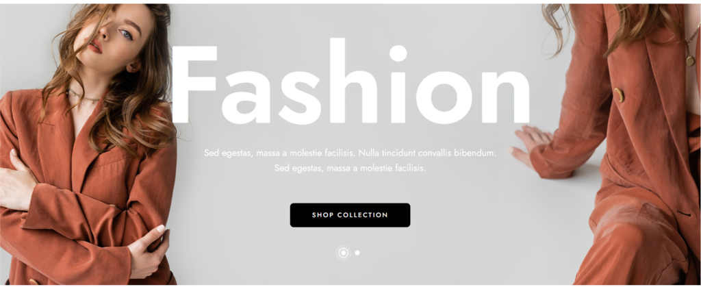 best creative website design template for fashion.